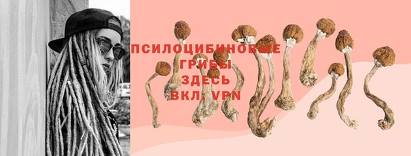 стафф Алексин