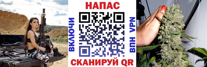 блэк спрут вход  Юрьевец  Бошки Шишки Bruce Banner 